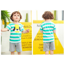 Boys Summer T-Shirt + Shorts Sets