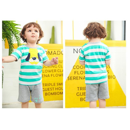 Boys Summer T-Shirt + Shorts Sets