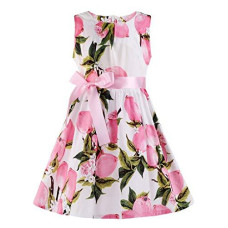 Summer Floral Cotton Girls casual Dress