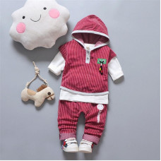 Boys  casual Hooded tops+pants set