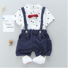 boys summer t-shirt+bib pants sets