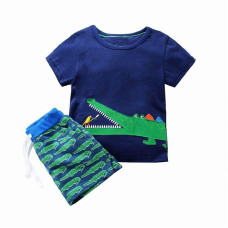 Boys Summer short sleeve t shirt+Shorts sets