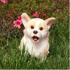 Cute Welsh Corgi Pembroke Puppies Plush Toy