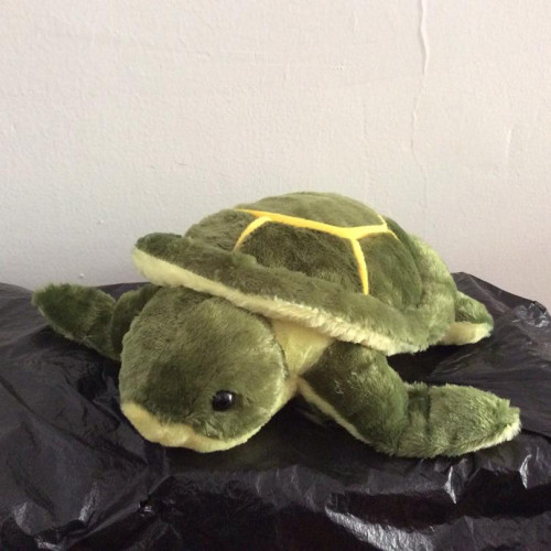 Green Sea Turtles/Tortoise Plush Toys