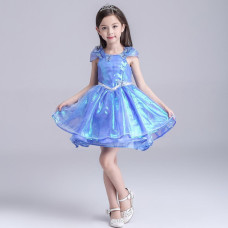 Cinderella princess elsa girl Halloween Costume